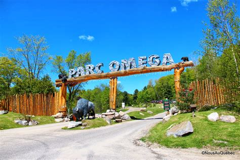 pare omega canada|parc omega admission fee.